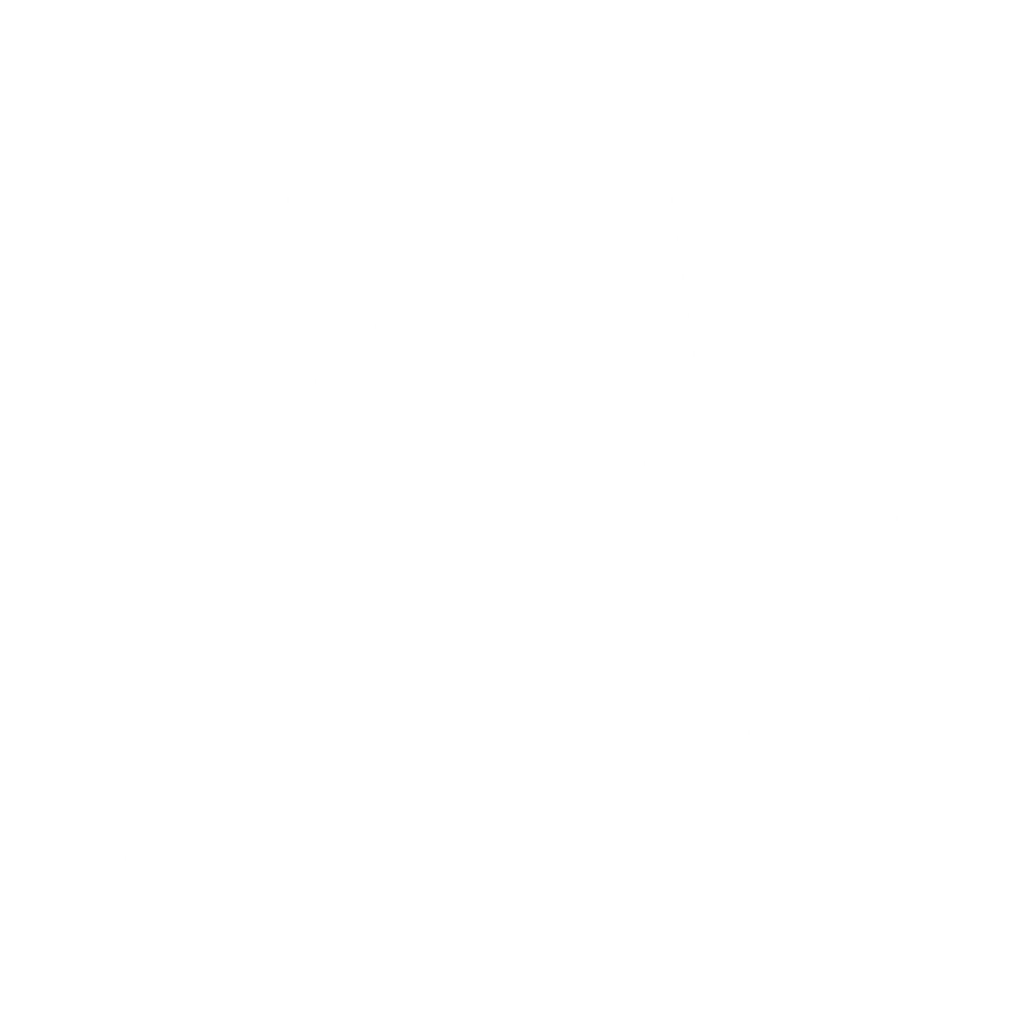 All One Venture LLC